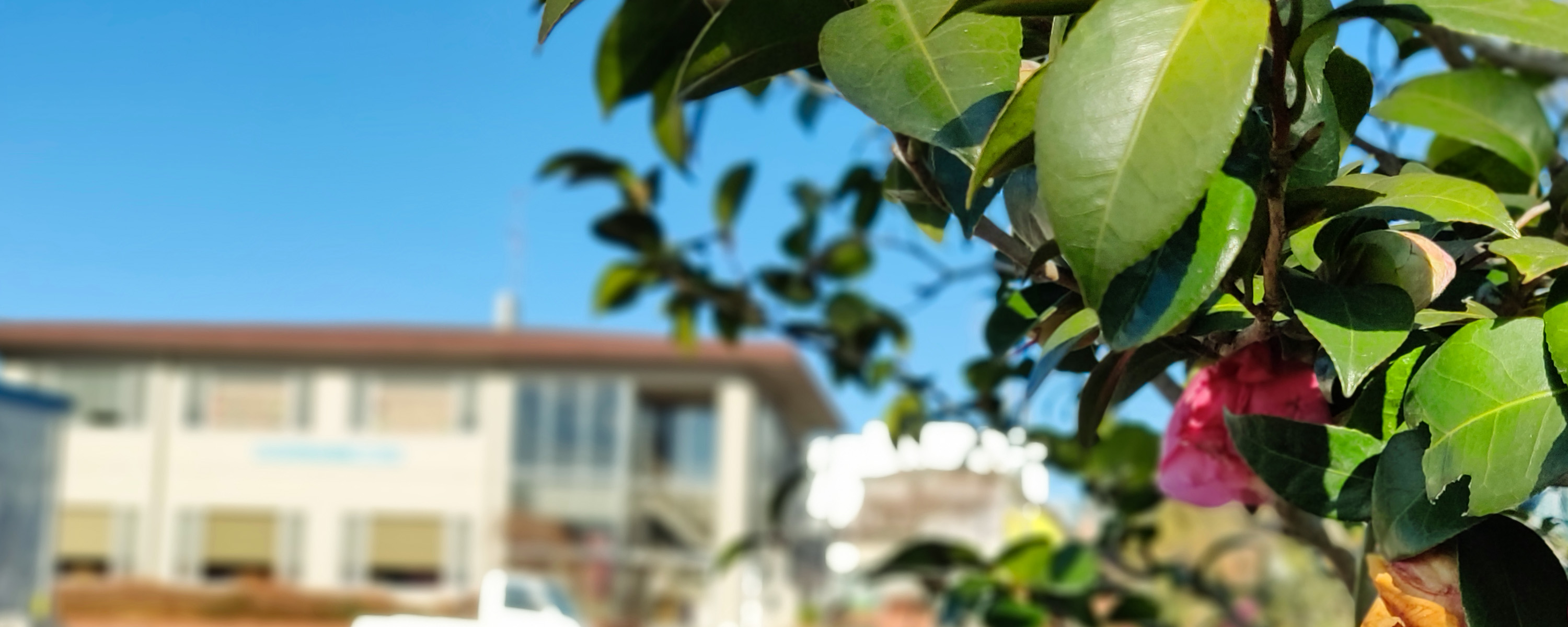 2019-01-04　新年のご挨拶